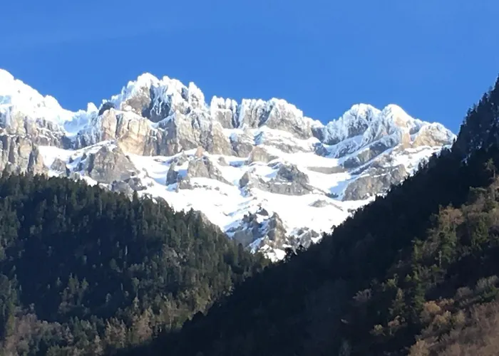 Chestnut's Little Kemping *