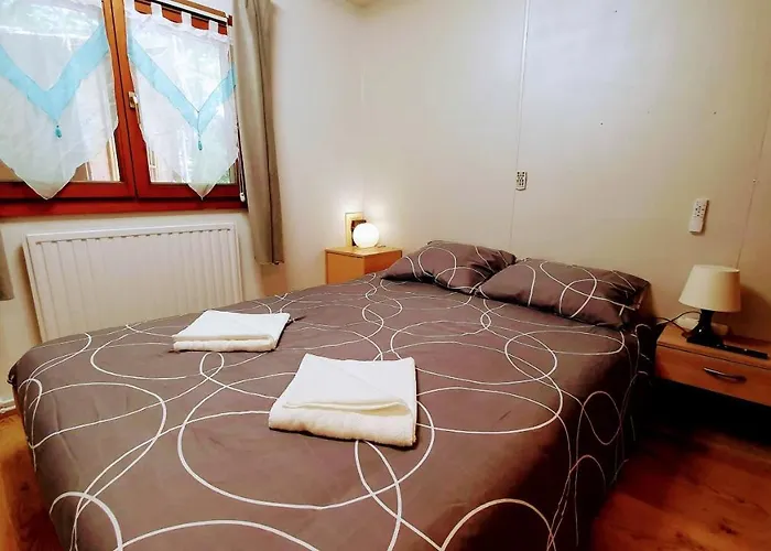 Chestnut's Little * Collonges