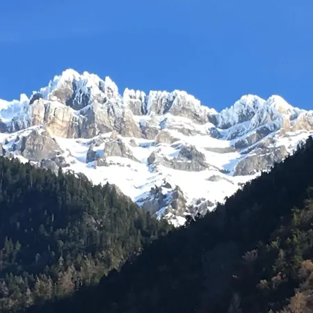 Chestnut's Little Camping *